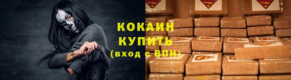 крисы Абаза
