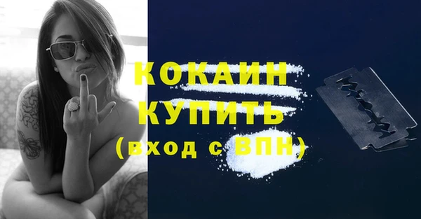 крисы Абаза