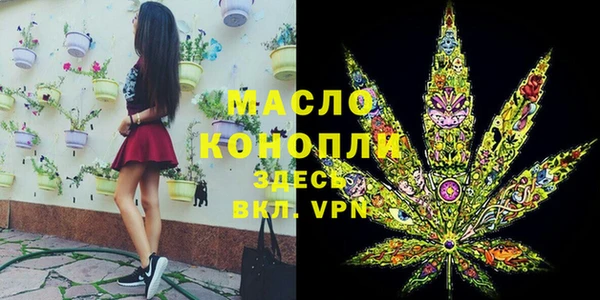 крисы Абаза