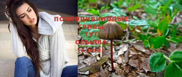 крисы Абаза