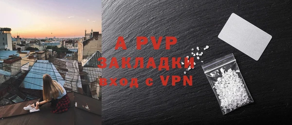 крисы Абаза