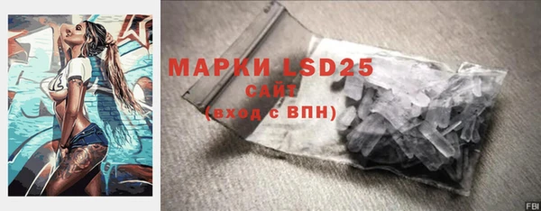 крисы Абаза