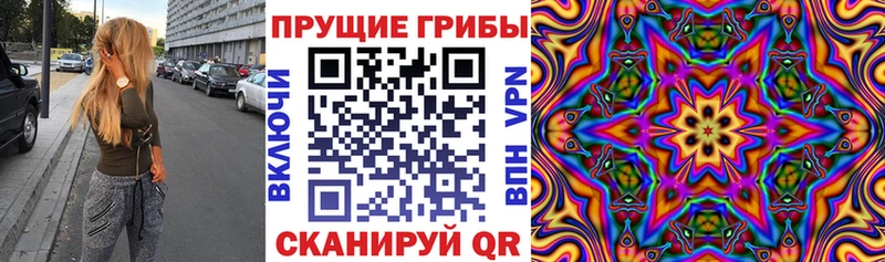 Псилоцибиновые грибы MAGIC MUSHROOMS shop клад Котельнич